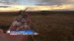 StormTracker Viewer Photo 4